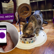Illustration for article titled The New littleBits Smart Home Kit Makes It Easy to Hack Your House